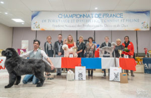 Autres Poils - ESPOIR PRO