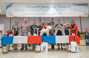 Autres Poils - PRO