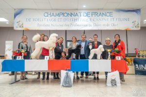 Caniche Commercial - PRO