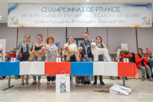 Caniche - FUTUR PRO 1