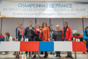 Caniche expo - PRO CHAMPION