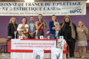 Chat - FUTUR PRO 1