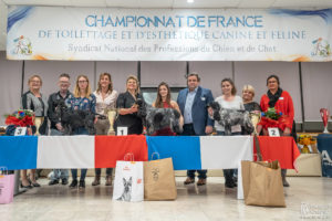 Spaniel - ESPOIR PRO