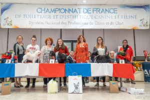 Toilette Salon - FUTUR PRO 1
