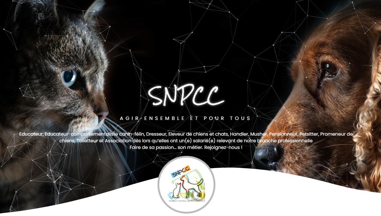 Appel candidature