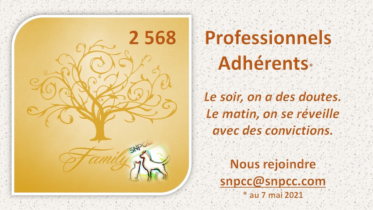 professionnels des métiers du chien et du chat