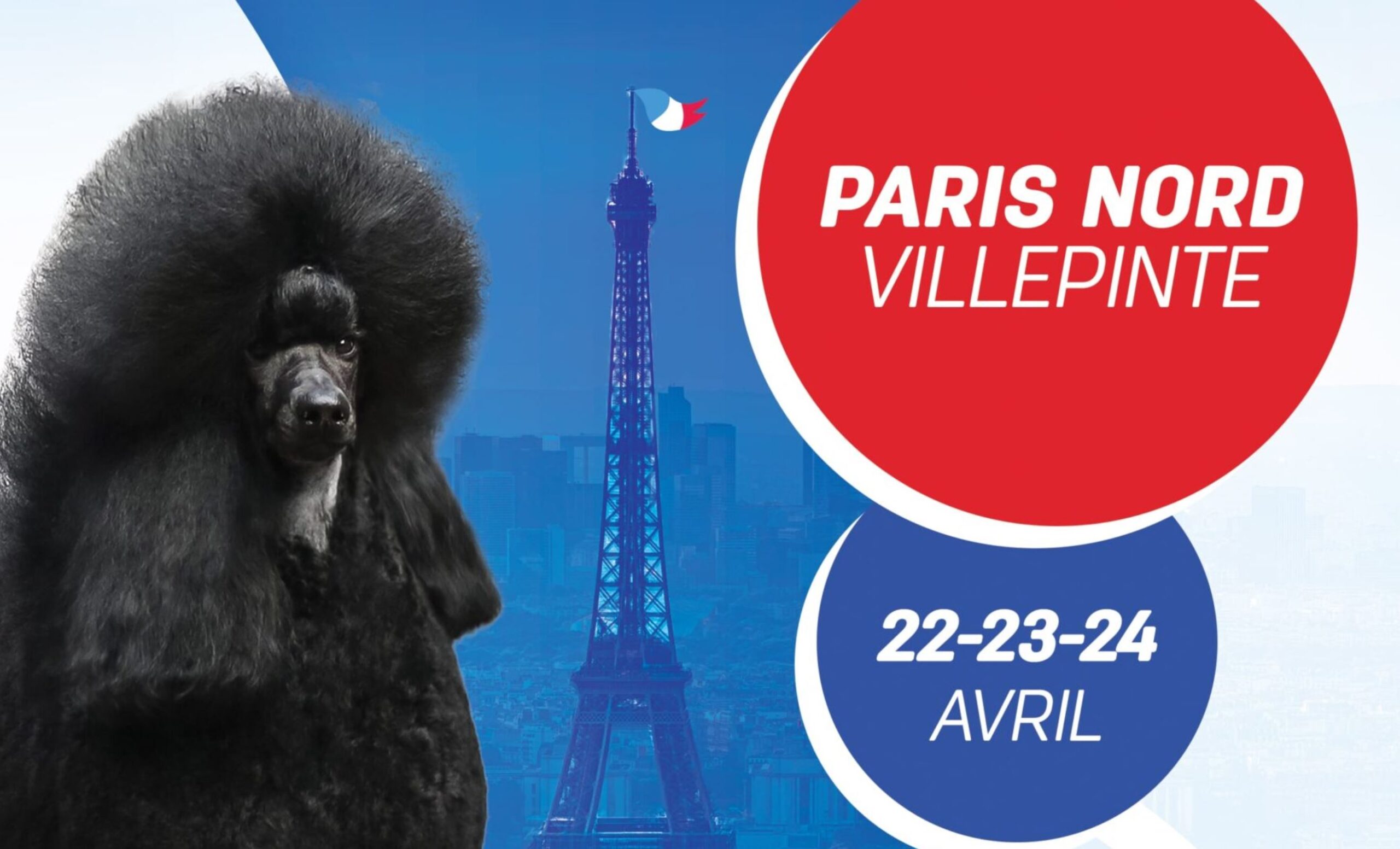 Championnat de France de chiens de race