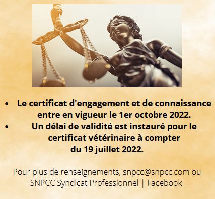 protection des animaux de compagnie contre la maltraitance animal
