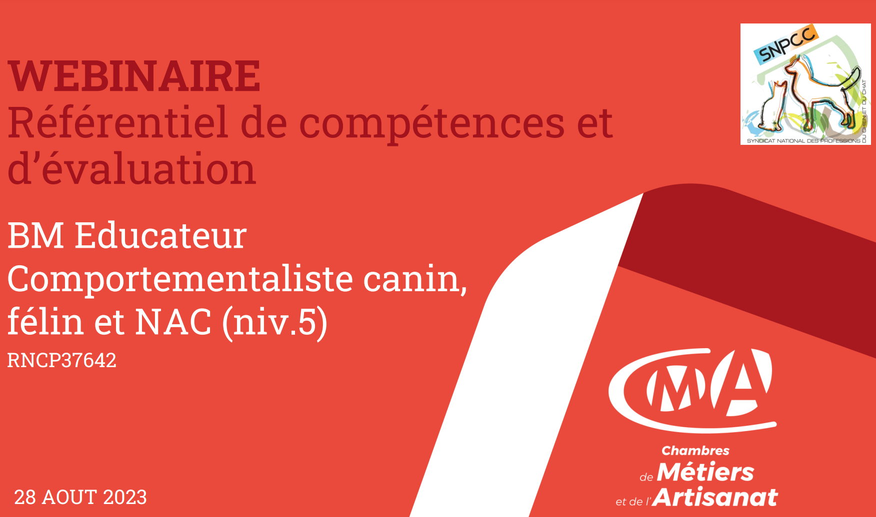 BM Éducateur Comportementaliste canin félin NAC