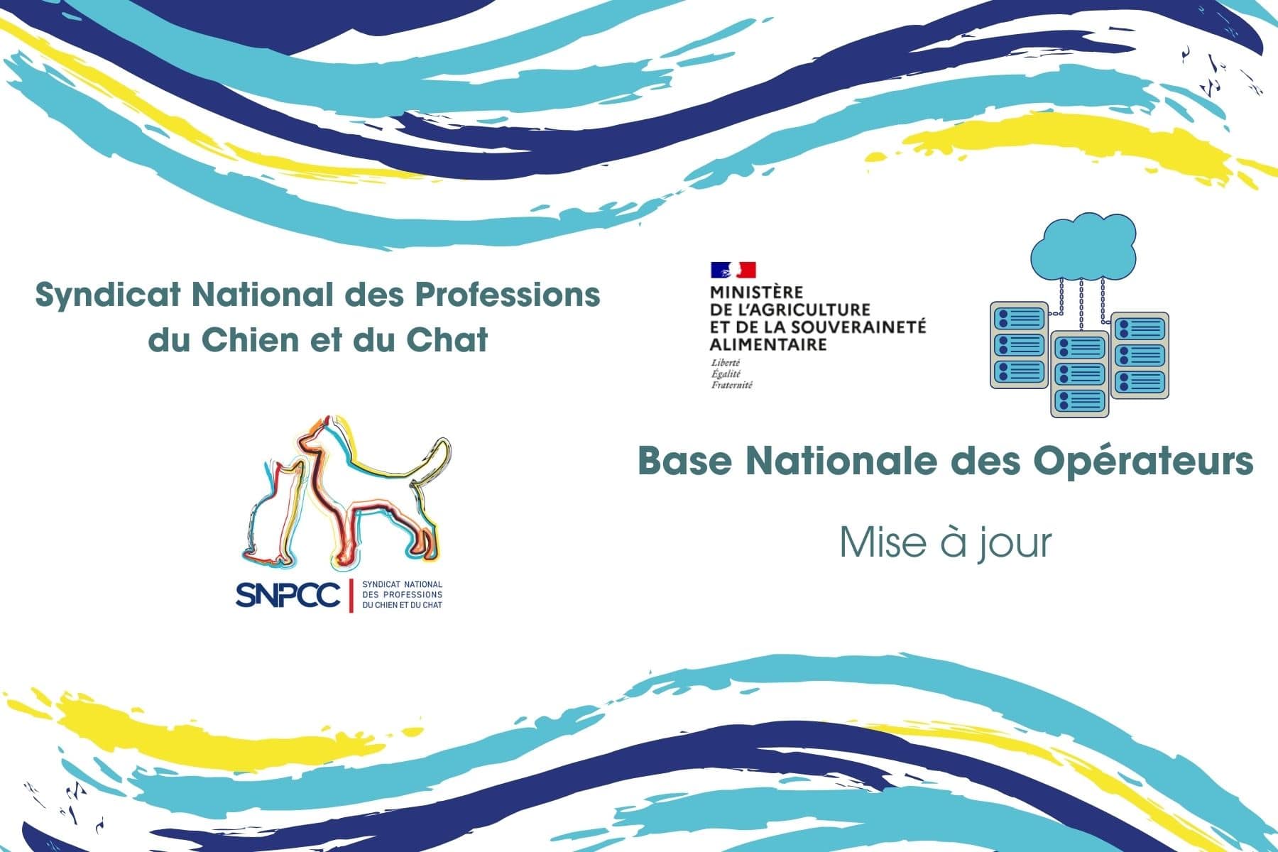Base nationale des opérateurs