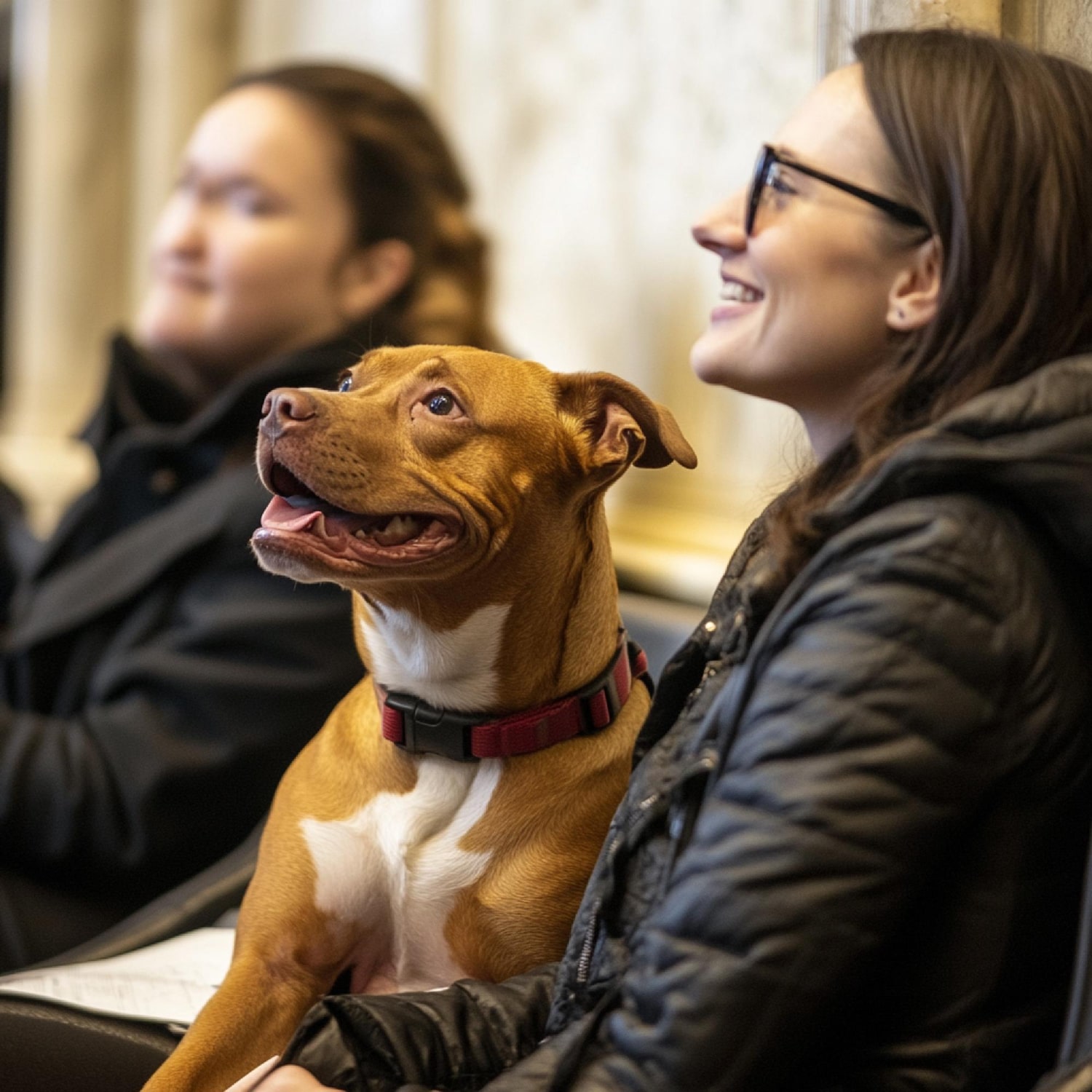 Les Assises de l'Animal en Ville