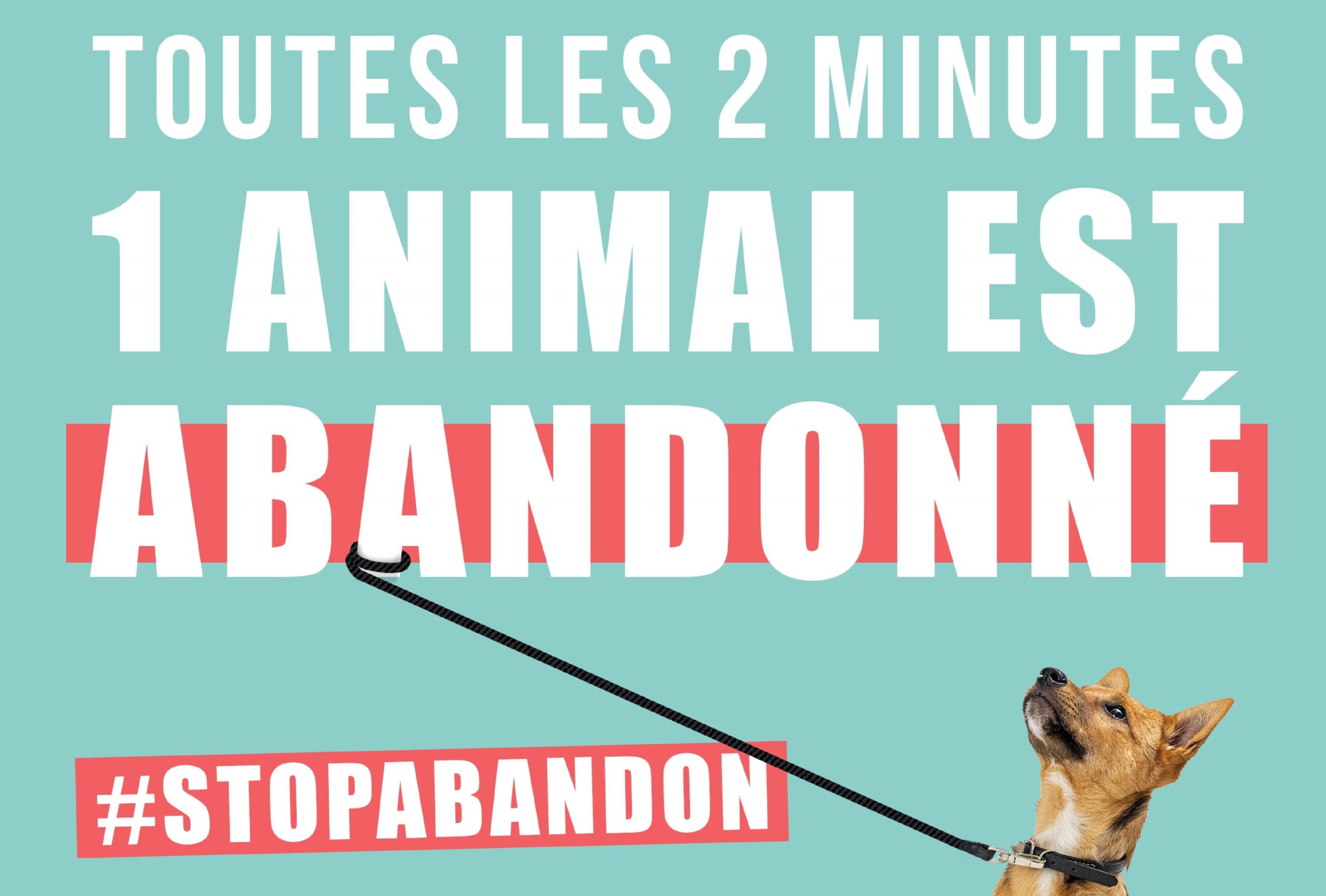 lutte contre les abandons d'animaux de compagnie