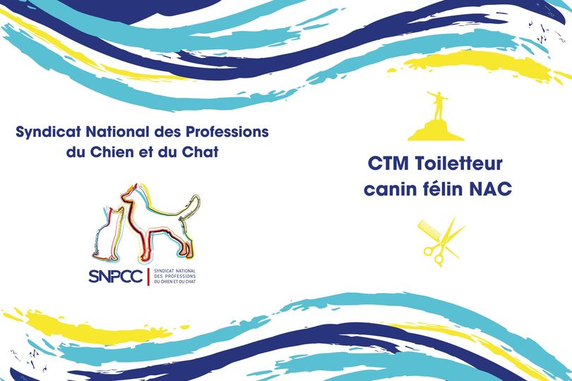 CTM toiletteur canin-félin-NAC
