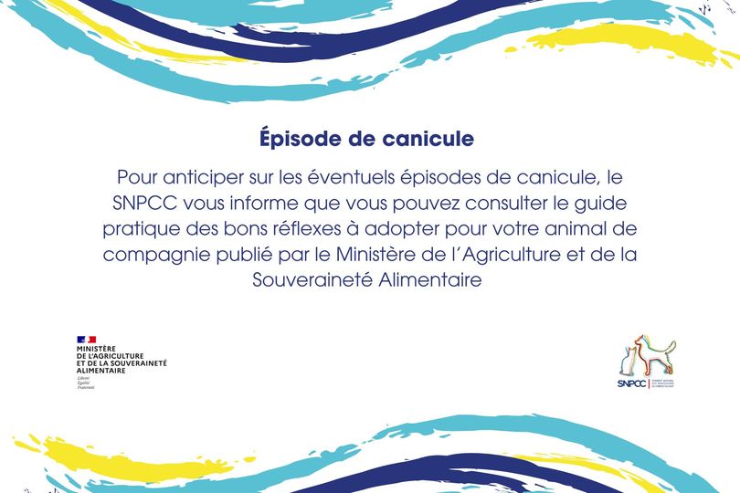 Alerte canicule