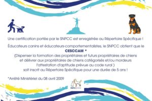 CESCCAM