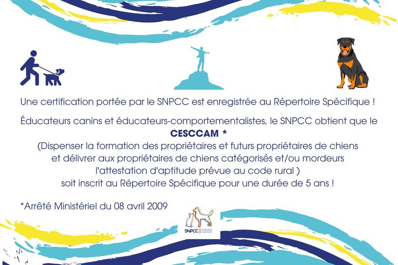 CESCCAM