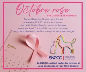 Octobre Rose