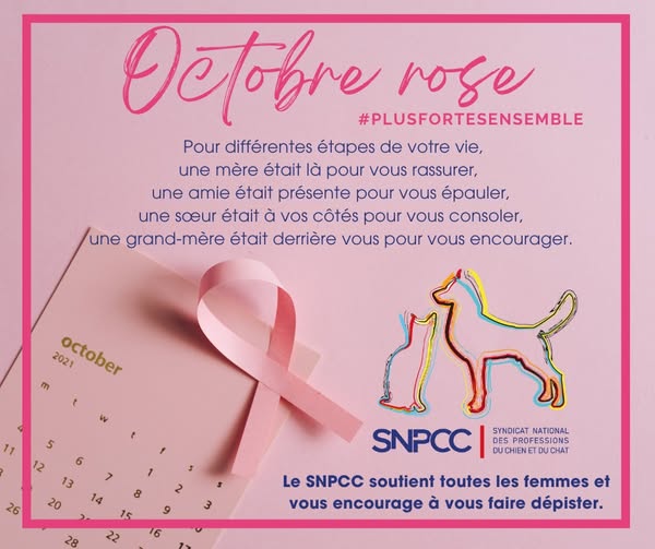 Octobre Rose