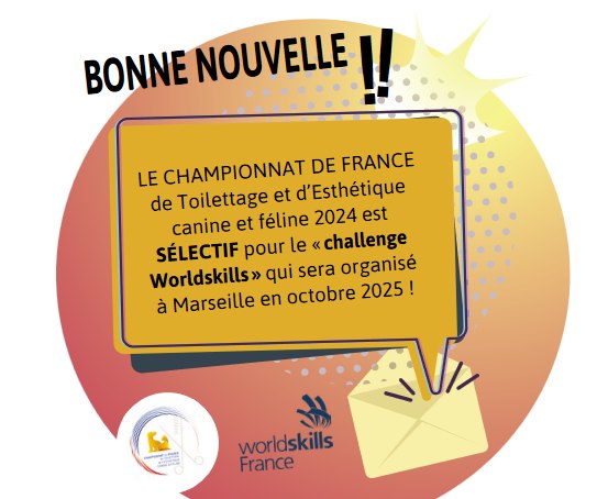 Worldskills