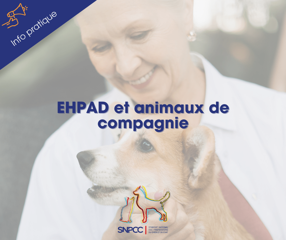 EHPAD et animaux de compagnie