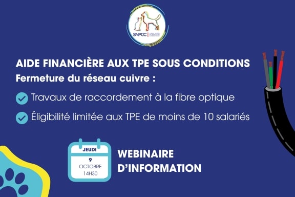 Aide au financement des travaux de raccordement à la fibre optique