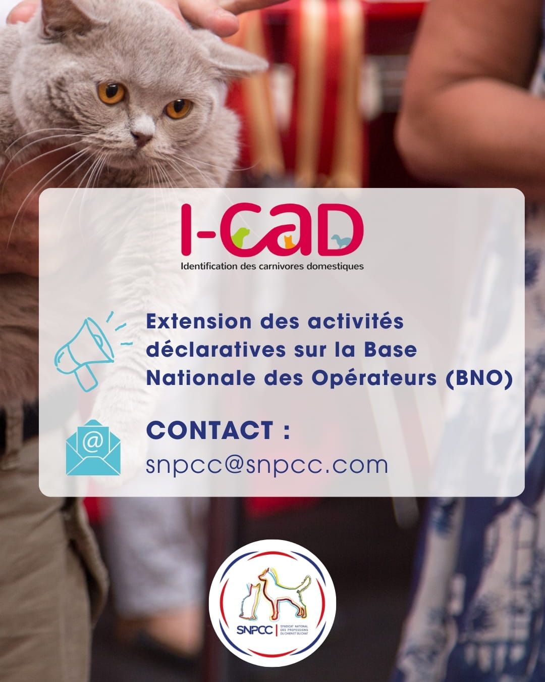 ICAD - Extension des activités déclaratives sur la Base Nationale Opérateurs