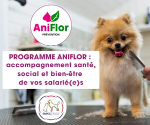 Programme Aniflor
