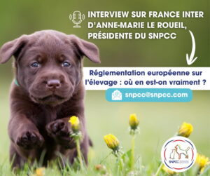 Règlement européen bien-être animal