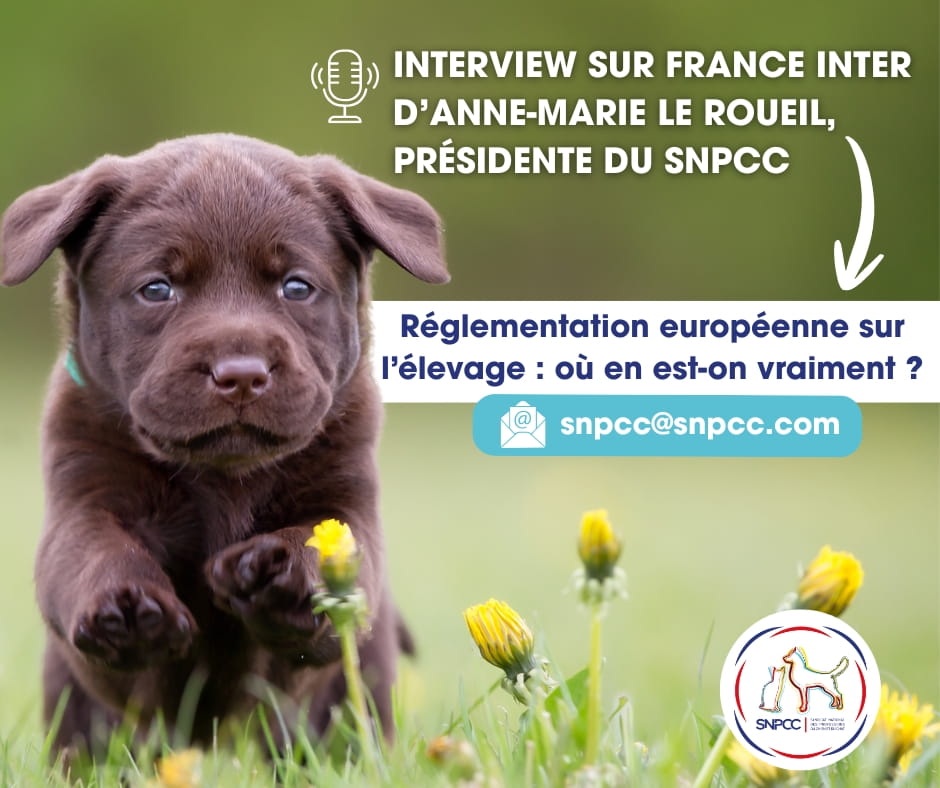 Règlement européen bien-être animal