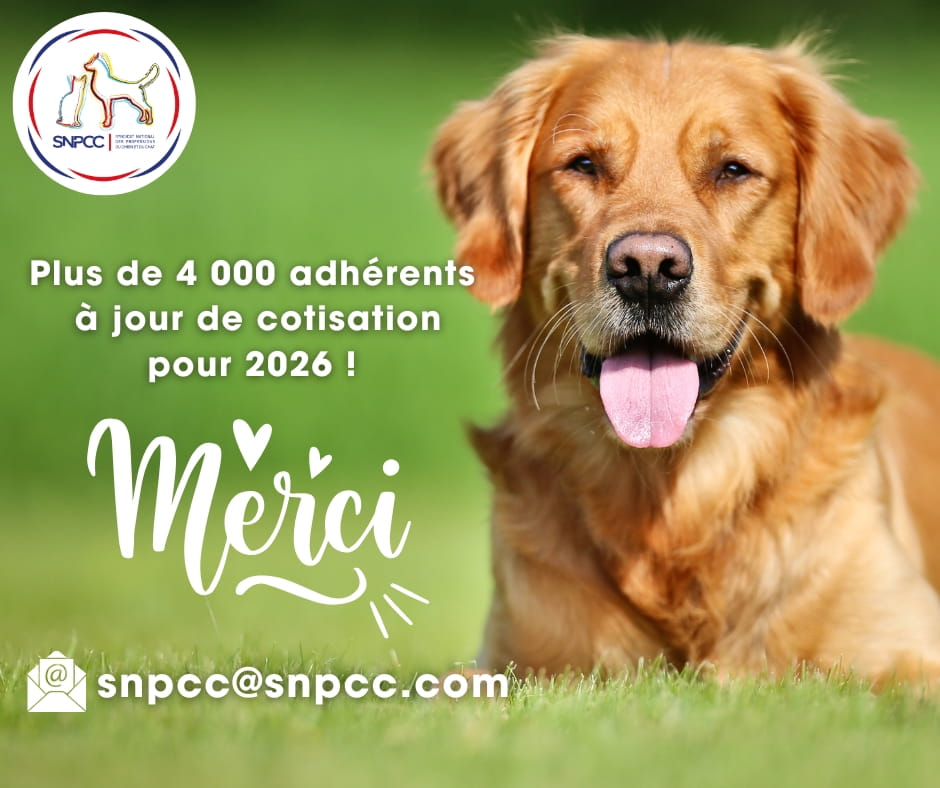 adhérents à jour de cotisation