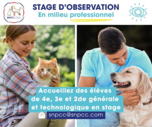 Faites découvrir votre métier à des élèves en stage
