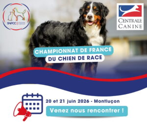 Championnat de France du chien de race 2026