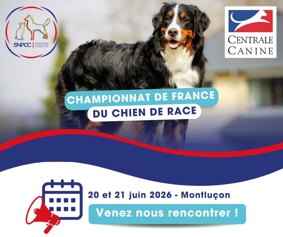 Championnat de France du chien de race 2026