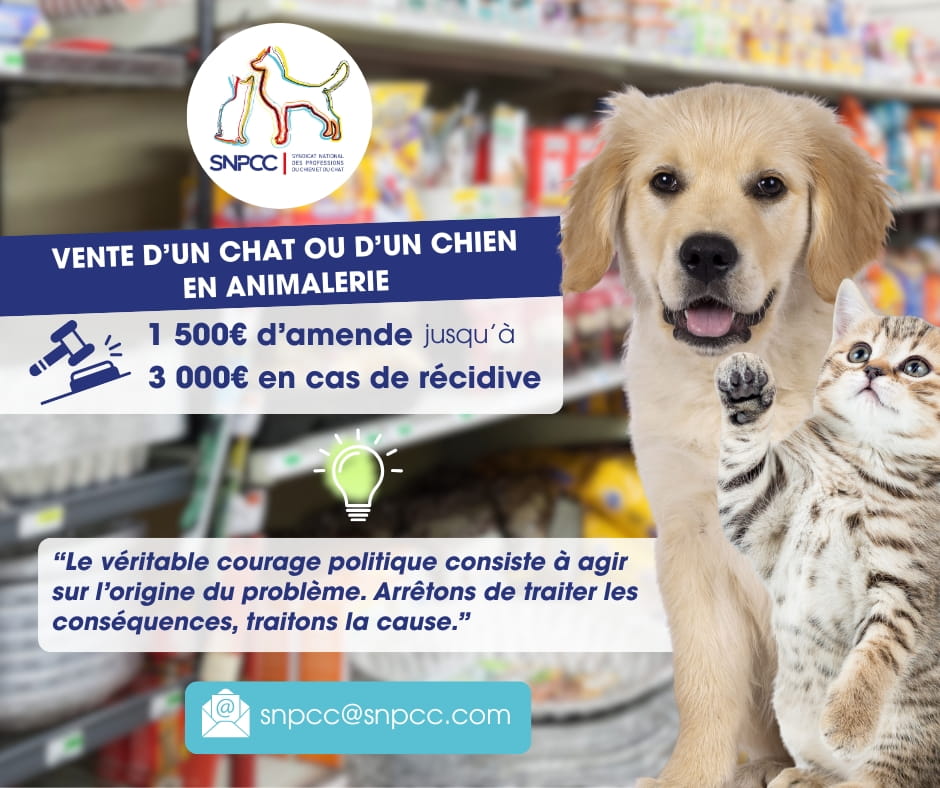 Ventes en animalerie : les sanctions arrivent