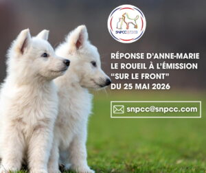 émission Sur le front