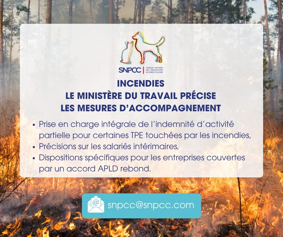 Incendies : le ministère du Travail précise les mesures d’accompagnement