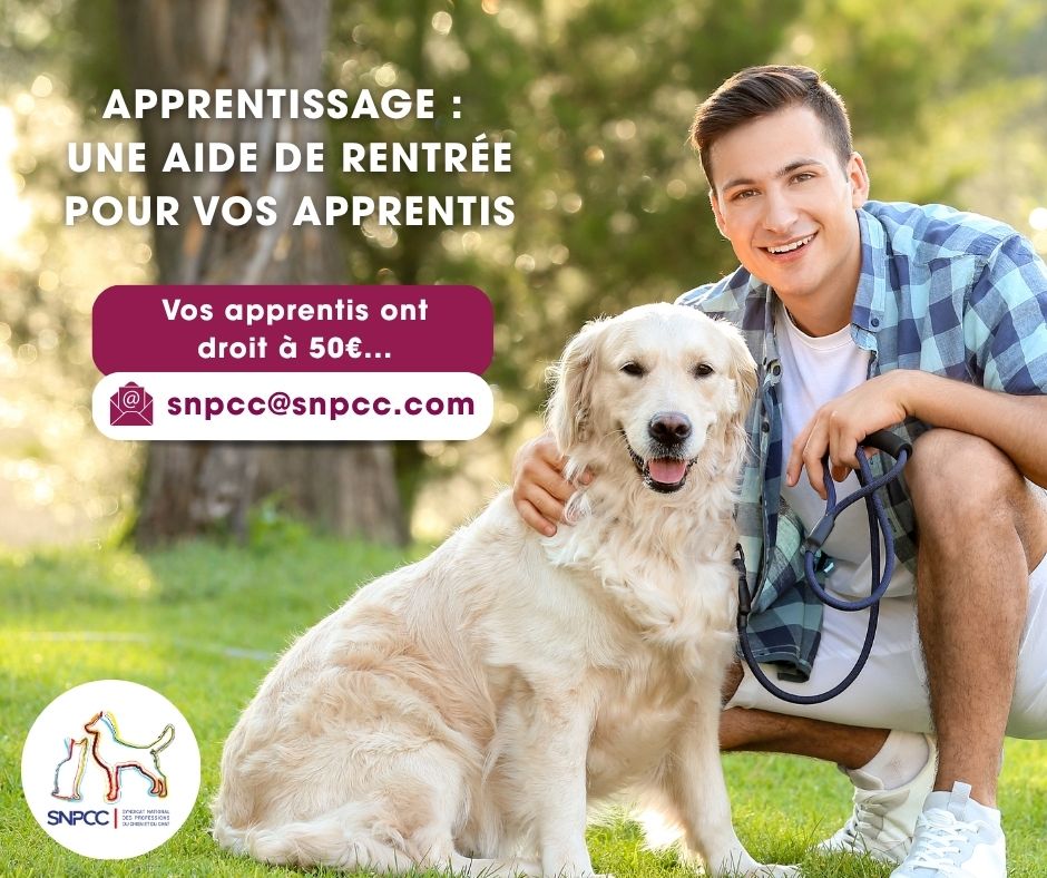 Aide rentrée apprentis
