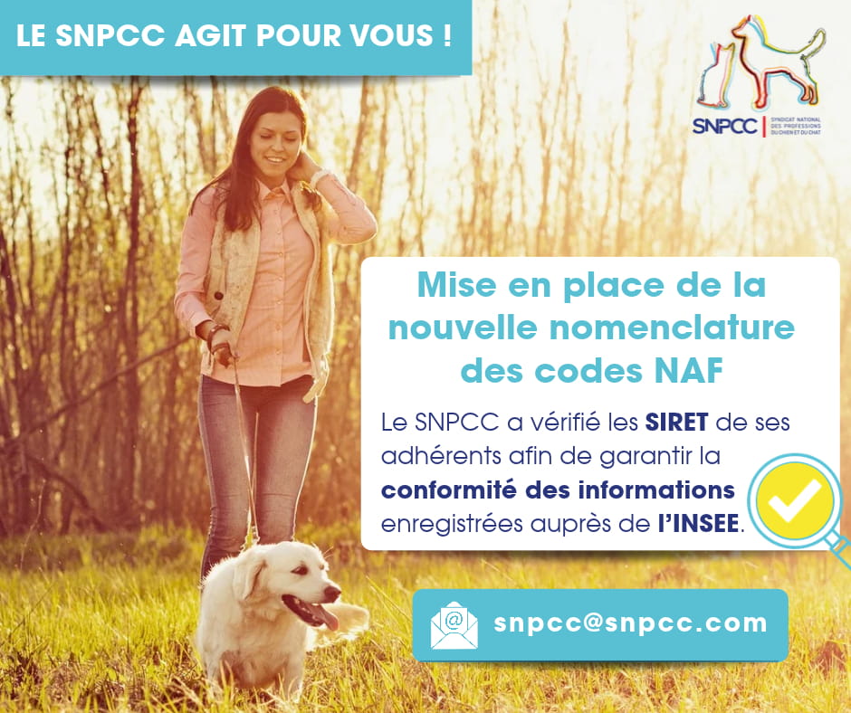 nomenclature des codes NAF