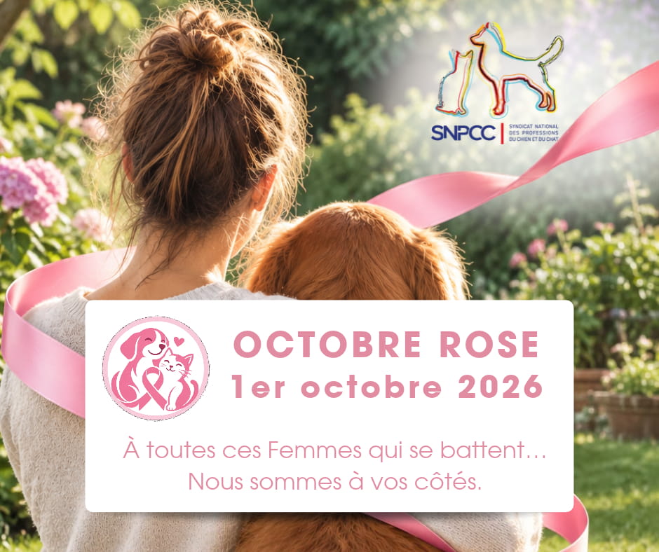Octobre Rose