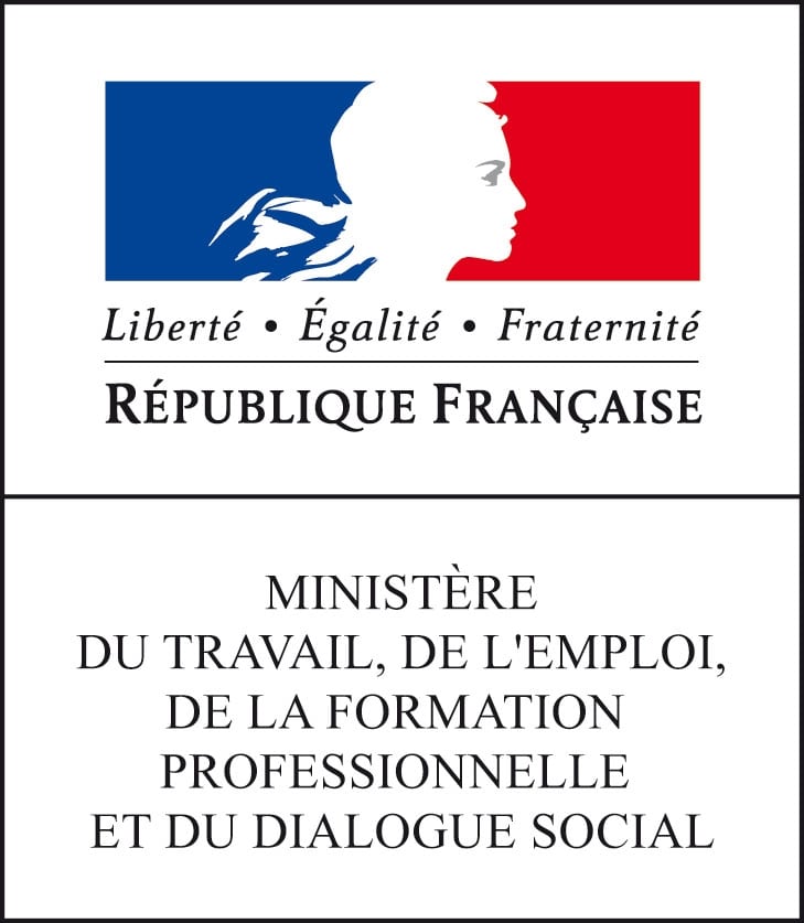 MINISTÈRE DU TRAVAIL, DE L EMPLOI, DE LA FORMATION PROFESSIONNELLE ET ...