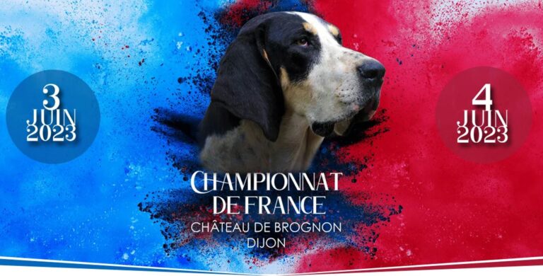 Championnat de France de chiens de race