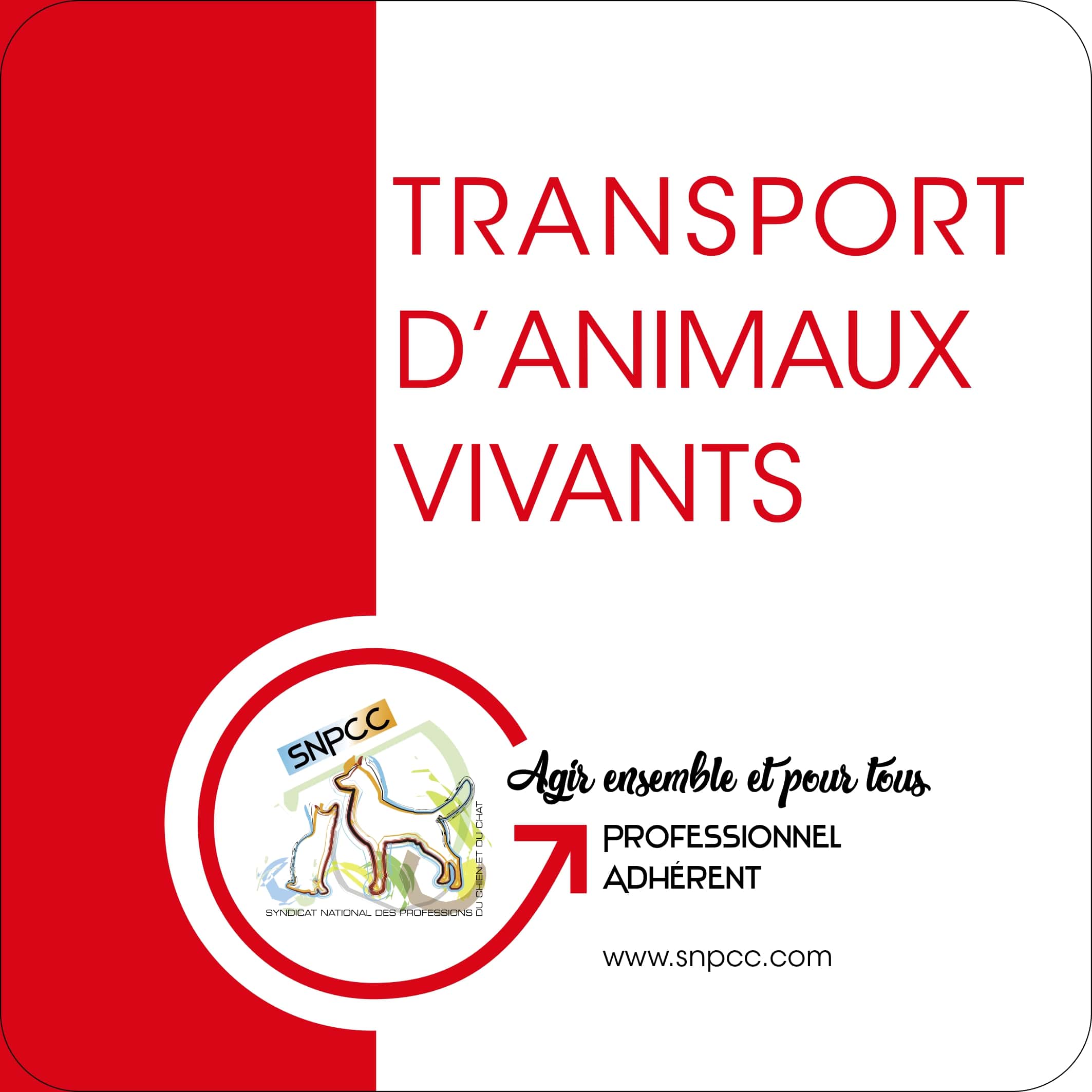 TRANSPORT D'ANIMAUX VIVANTS MAGNET