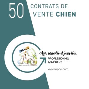 Carnet de CONTRATS DE VENTE par liasse de 50 – Chien