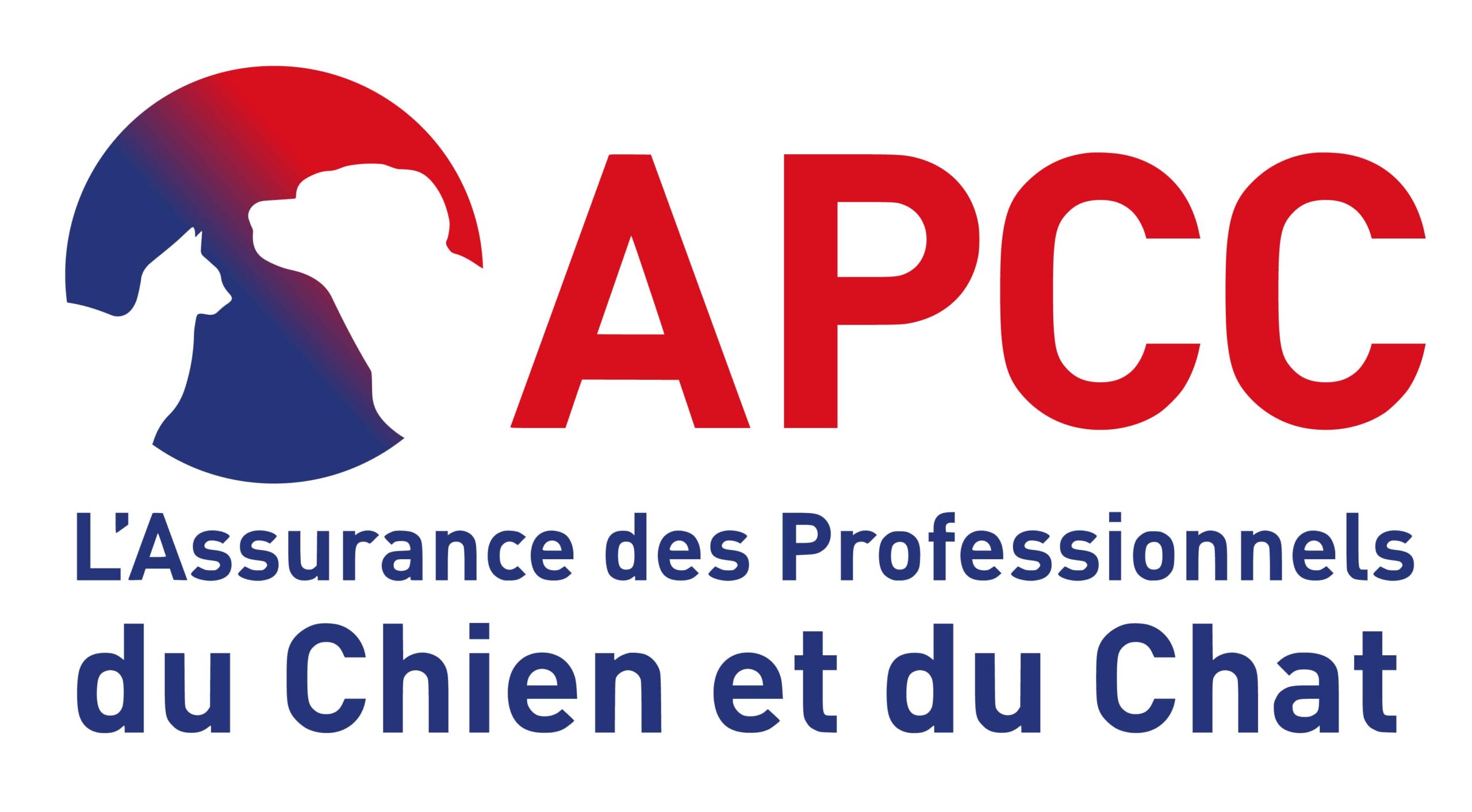 LOGO APCC 2024