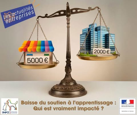 Soutien aux entreprises pour l’apprentissage