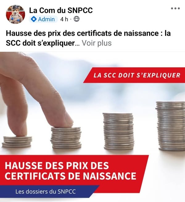 certificats de naissance