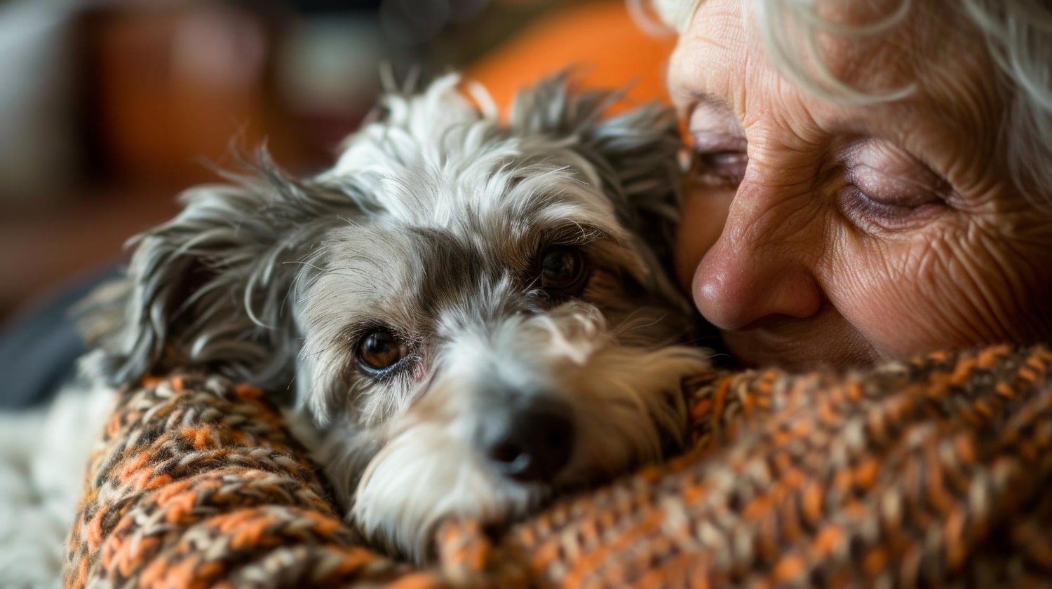 L'emploi des seniors